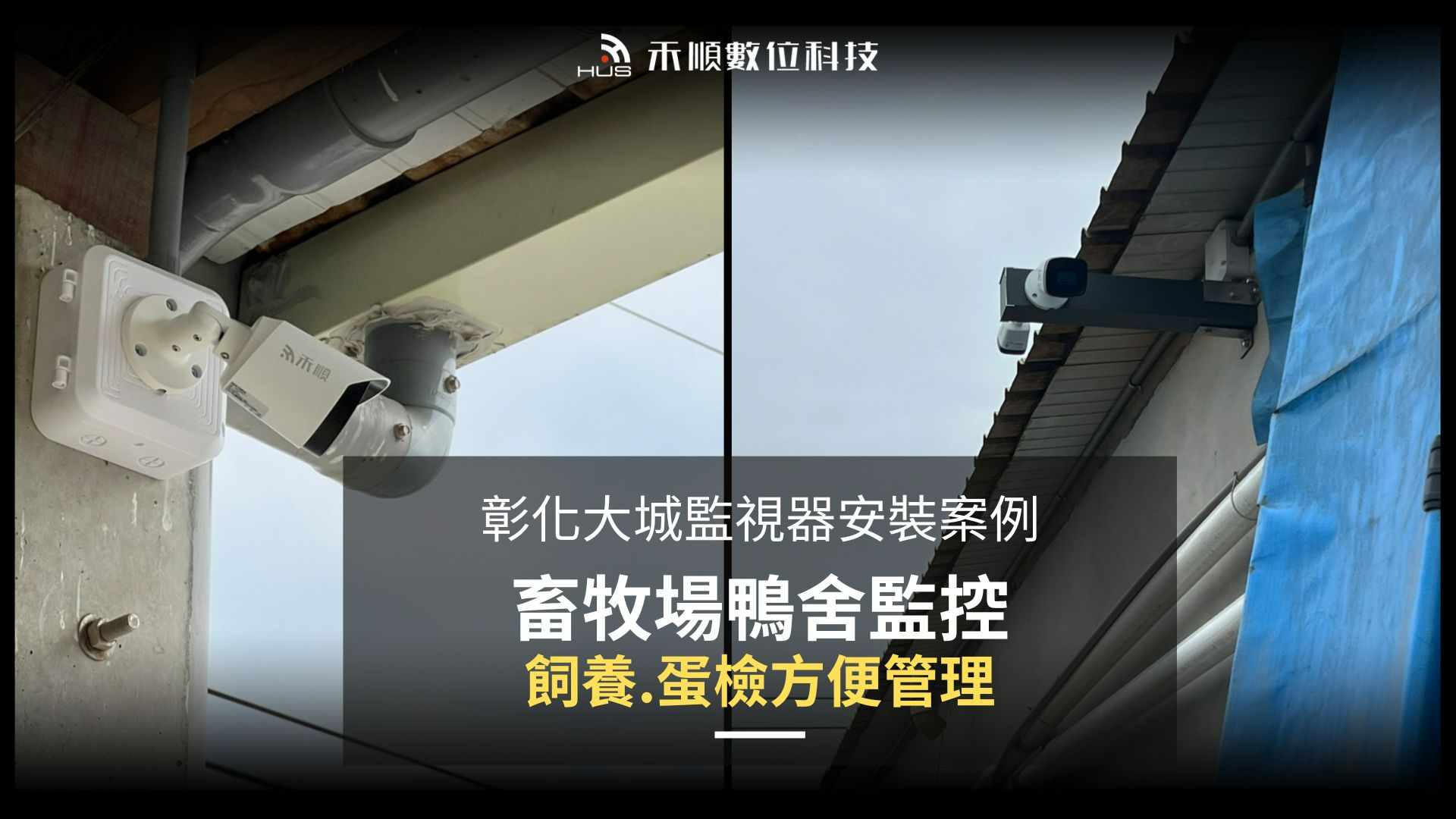 彰化大城監視器安裝案例:畜牧場鴨舍裝監視器怎麼規劃?
